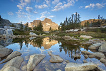 USA, California, Inyo National Forest by Danita Delimont