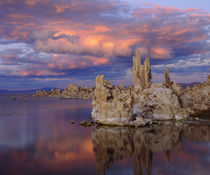 Tufa Formations on Mono Lake by Danita Delimont