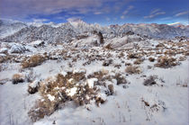 USA, California, Eastern Sierra Mountains, Alabama Hills by Danita Delimont