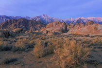 USA, California, Alabama Hills by Danita Delimont