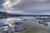 Mono Lake, California by Danita Delimont