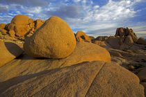 USA, California, Joshua Tree National Park, granite formatio... by Danita Delimont