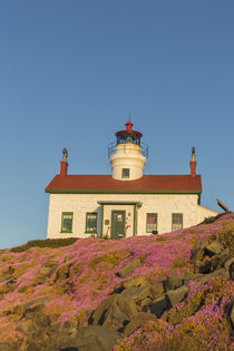 Battery Point Lighthouse in Crescent City, California, USA von Danita Delimont