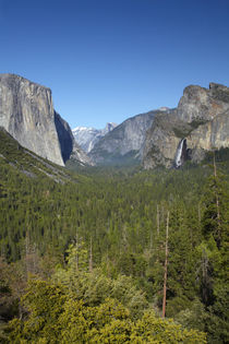 El Capitan, Yosemite Valley, Half Dome, and Bridalveil Fall,... by Danita Delimont