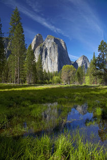 Cathedral Rocks reflected in a pond in Yosemite Valley, Yose... von Danita Delimont