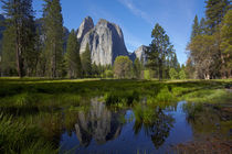 Cathedral Rocks reflected in a pond in Yosemite Valley, Yose... von Danita Delimont