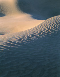 sand dune von Danita Delimont