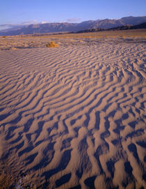 USA, California, Death Valley National Park, Textures in san... by Danita Delimont