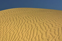 Sunrise over Mesquite Flat Dunes in Death Valley National Pa... by Danita Delimont