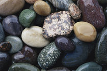 Pacific Northwest USA, Colorful river rocks by Danita Delimont