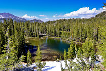 Ansel Adams Wilderness, CA, USA, Residual Snow and Blue Skie... by Danita Delimont