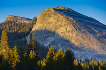 Yosemite National Park, CA, Lembert Dome in Evening Glow von Danita Delimont