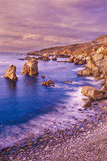 Sea stacks and rocky coastline at Soberanes Point, Garrapata... von Danita Delimont