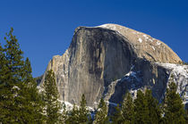 Afternoon light on Half Dome, California, Usa von Danita Delimont