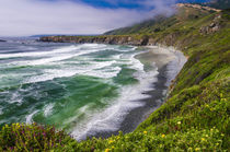 Wildflowers above Sand Dollar Beach, Los Padres National For... von Danita Delimont