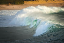 Carmel beach, California, breaking wave von Danita Delimont