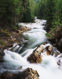 USA, Colorado, Gunnison National Forest, View of Crystal riv... von Danita Delimont