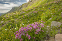 USA, Colorado, San Juan Mountains by Danita Delimont