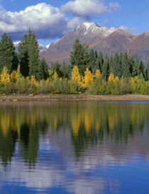 USA, Colorado, Gunnison National Forest, Mount Owens in the ... von Danita Delimont