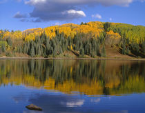 USA, Colorado, Gunnison National Forest, Rising moon and mix... von Danita Delimont