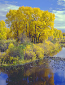 USA, Colorado, Curecanti National Recreation Area, Narrowlea... von Danita Delimont