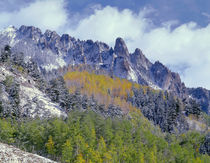 USA, Colorado, Uncompahgre National Forest, Fall snow on Oph... by Danita Delimont