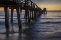 Below the pier at twilight, Naples, Florida, USA by Danita Delimont