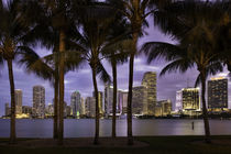 Twilight over Miami Skyline, Miami, Florida, USA von Danita Delimont