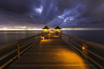 Twilight at the Naples Pier, Naples, Florida, USA von Danita Delimont