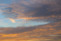 USA, Florida, New Smyrna Beach, Sunset. by Danita Delimont