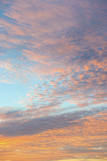 USA, Florida, New Smyrna Beach, Sunset. by Danita Delimont