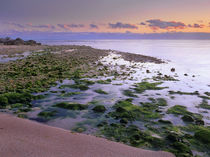 Bahia Honda Key State Park, Bahia Honda Key, Florida, USA by Danita Delimont