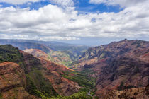 The Waimea Canyon on the Hawaiian island of Kauai by Danita Delimont