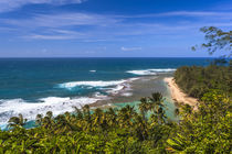 Tunnels Beach as seen from the Kalalau Trail in Kauai von Danita Delimont