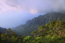 USA, Hawaii, Kauai von Danita Delimont