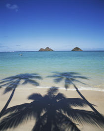 Hawaii Islands, Oahu, View of Lanikai Beach by Danita Delimont