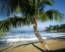 USA, Hawaii Islands, Maui, View of Napili Bay by Danita Delimont