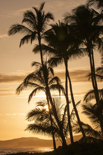 Sunset at Poipu beach, Kauai, Hawaii. by Danita Delimont