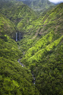 Scenic views of Kauai from above. by Danita Delimont