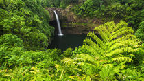 Rainbow Falls, Wailuku River State Park, Hilo, The Big Islan... by Danita Delimont