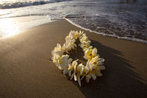 Lie on Kihei Berach with Reflections in Sand by Danita Delimont