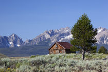 Idaho, Sawtooth National Recreation Area, Old Barn and the S... von Danita Delimont