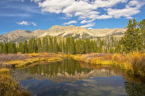 Reflection, Big Wood River, autumn, Sawtooth National Forest... by Danita Delimont