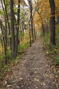 Iowa, Effigy Mounds National Monument, trail to Great Bear a... by Danita Delimont