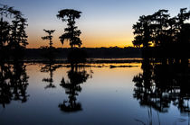 USA, Louisiana, Lake Martin, Rookery Rd von Danita Delimont