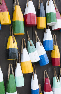 Bar Harbor, Maine, colorful buoys on wall for sale and state... von Danita Delimont