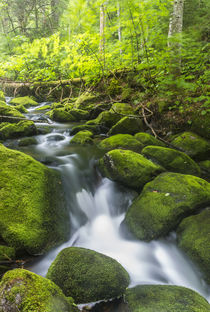 Perham Stream on Lone Mountain near the Appalachian Trail in... by Danita Delimont