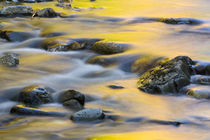 Nash Stream in Reddington Township, Maine by Danita Delimont