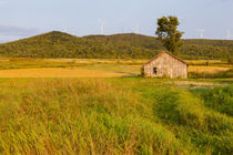 An old farm building in a field next to the Mars Hill wind f... von Danita Delimont