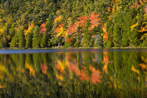 Autumn reflections, Bubble Pond, Acadia National Park, Maine, USA by Danita Delimont